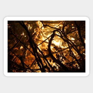 Fireside by Avril Thomas at Magpie Springs Sticker